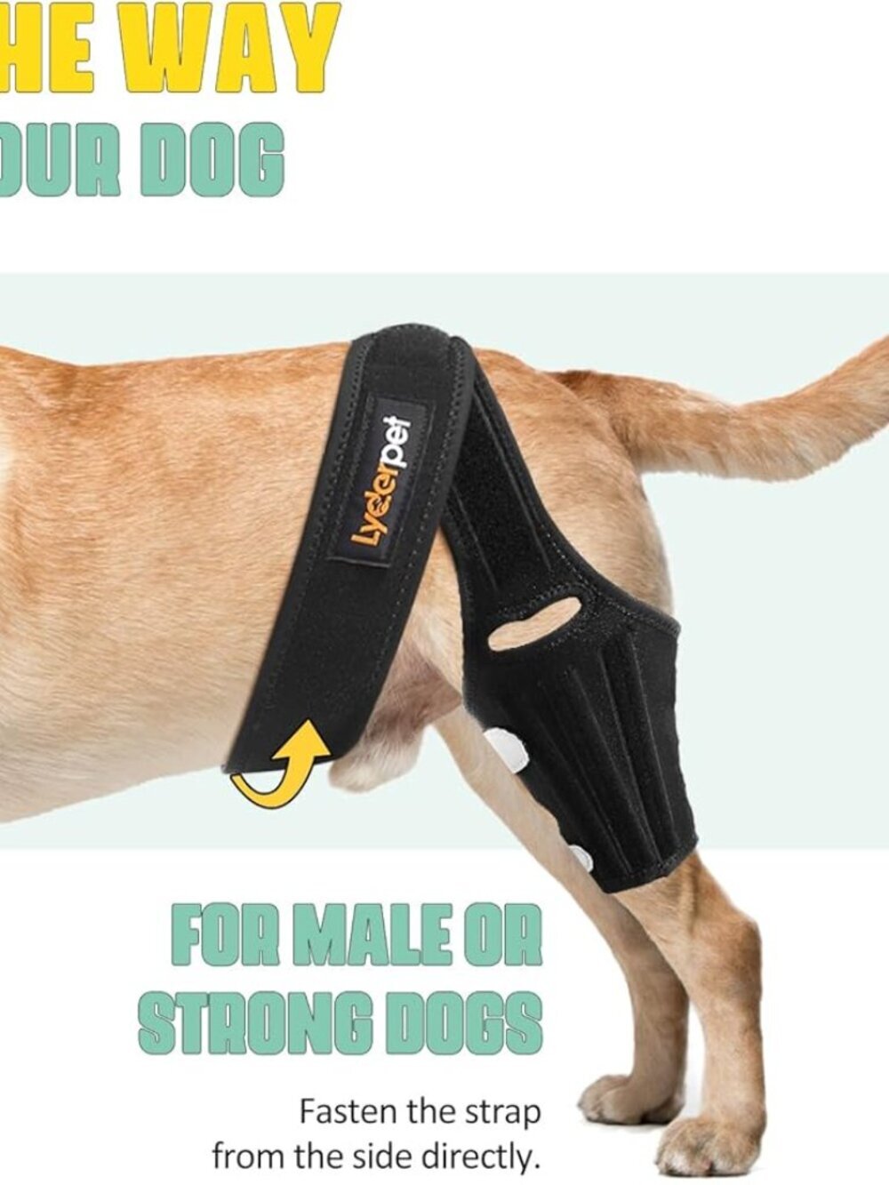 Dog ACL Brace for Dogs Rear Leg, Cruciate Care Knee Brace for Dogs Back Leg